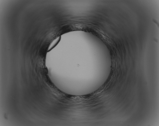 X0000093150331200709261021