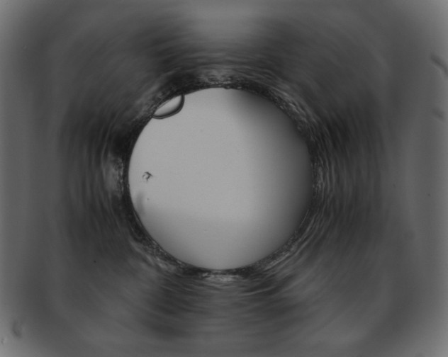 X0000093150332200709261021