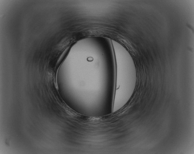 X0000093150333200709261021