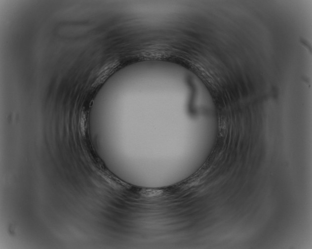 X0000093150334200709261021