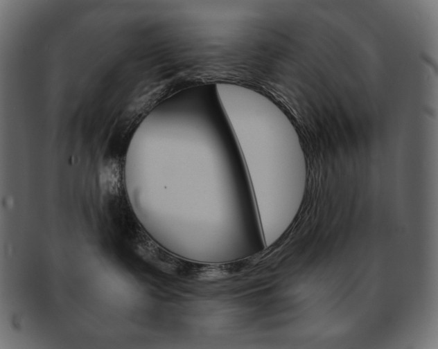 X0000093150335200709261021
