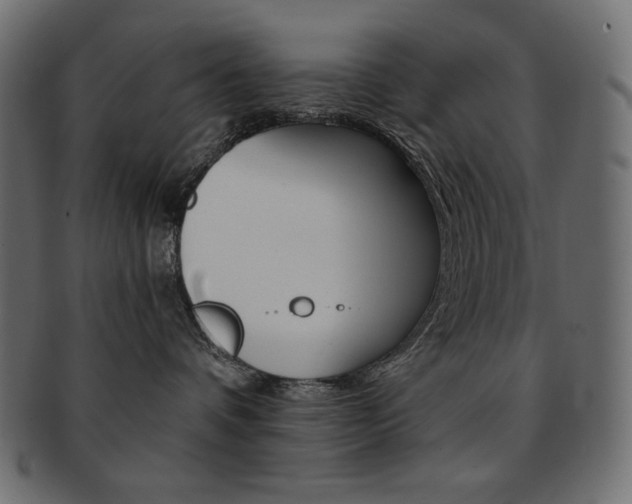 X0000093150336200709261021