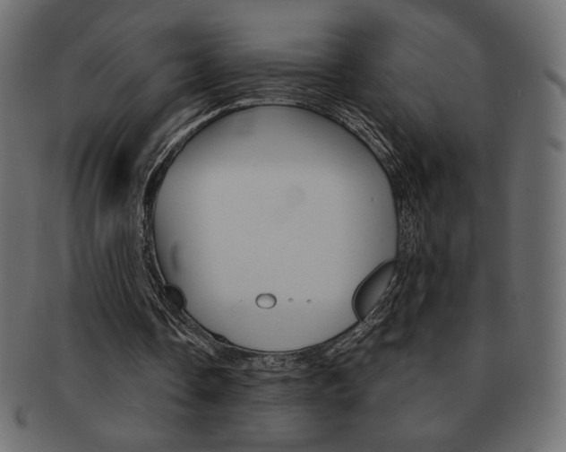 X0000093150338200709261020
