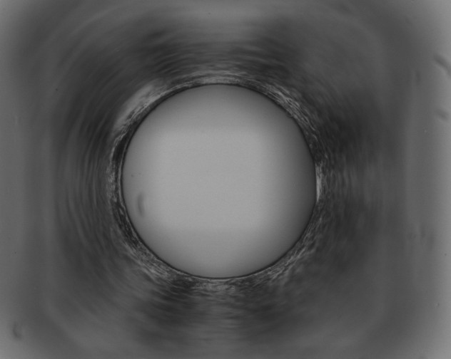 X0000093150339200709261020