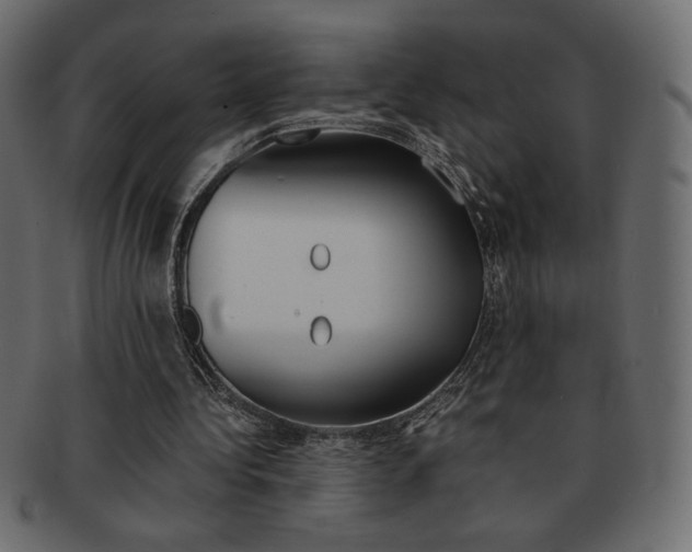 X0000093150340200709261020