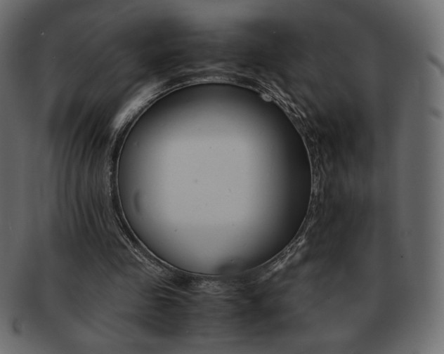X0000093150341200709261020