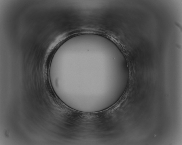 X0000093150343200709261021