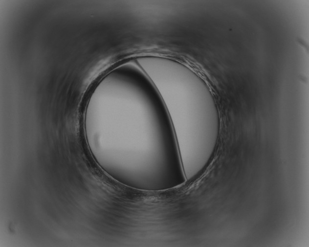 X0000093150344200709261021