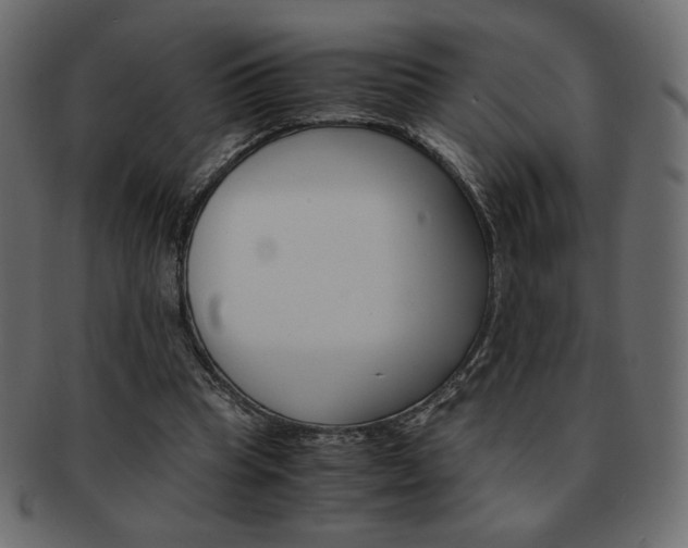 X0000093150345200709261021