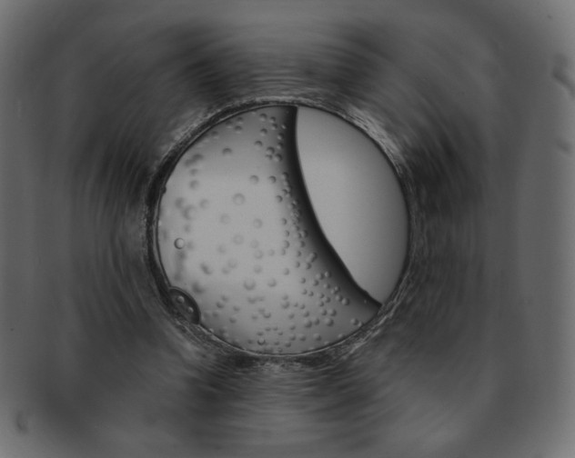 X0000093150346200709261021