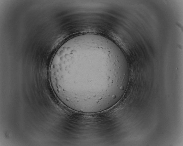 X0000093150347200709261021