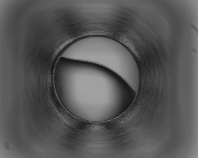 X0000093150348200709261021