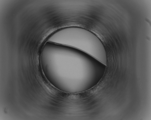 X0000093150350200709261021