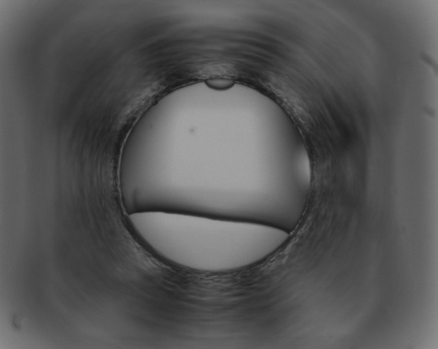 X0000093150353200709261021