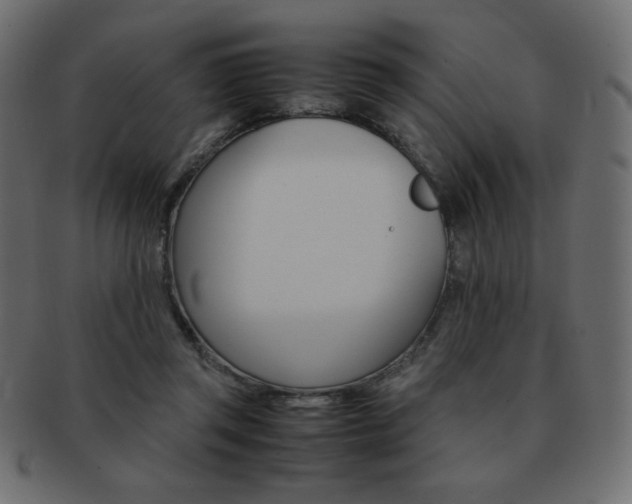 X0000093150357200709261021