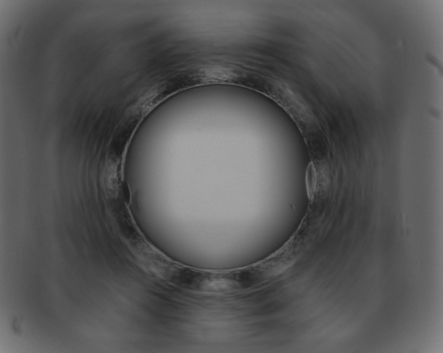 X0000093150360200709261021