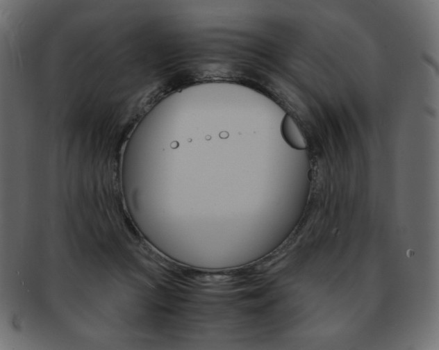 X0000093150361200709261021