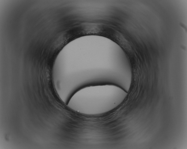 X0000093150362200709261021