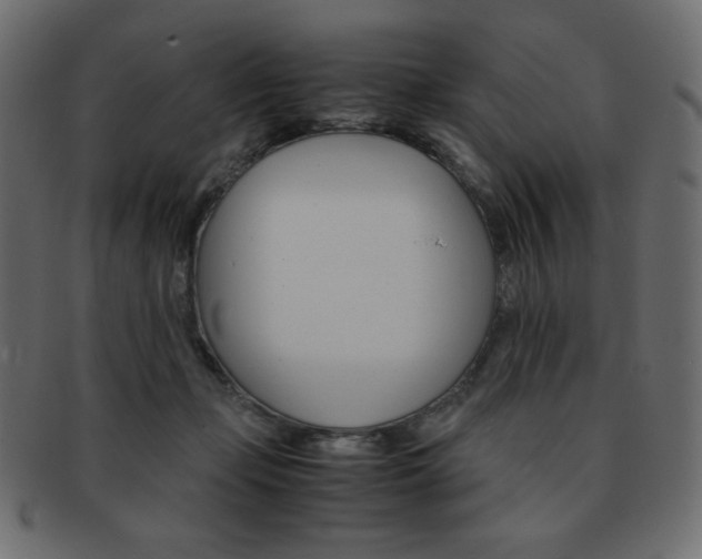 X0000093150365200709261021