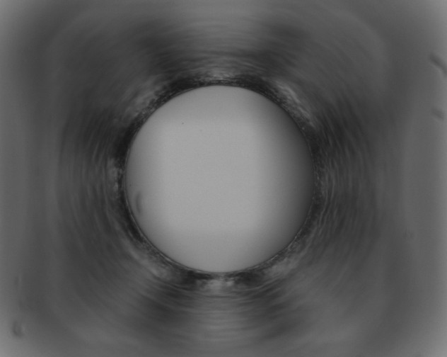 X0000093150366200709261021