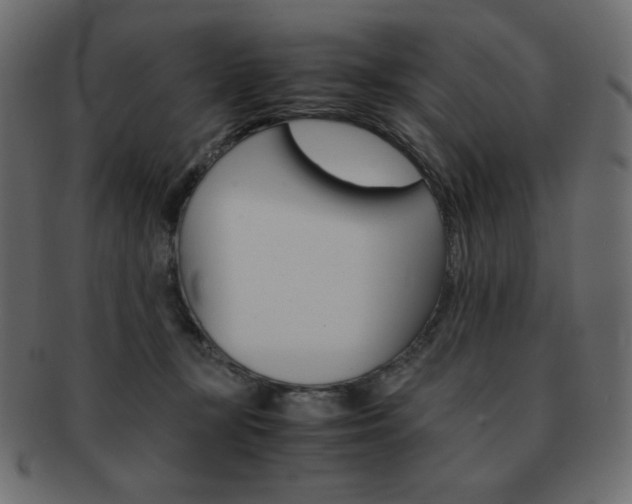 X0000093150367200709261021