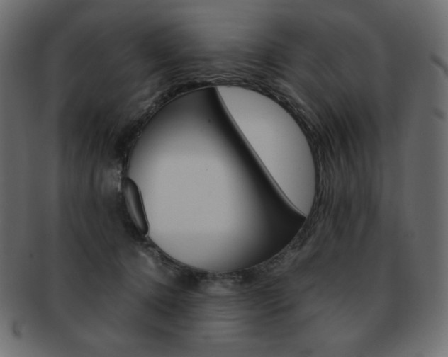 X0000093150368200709261021