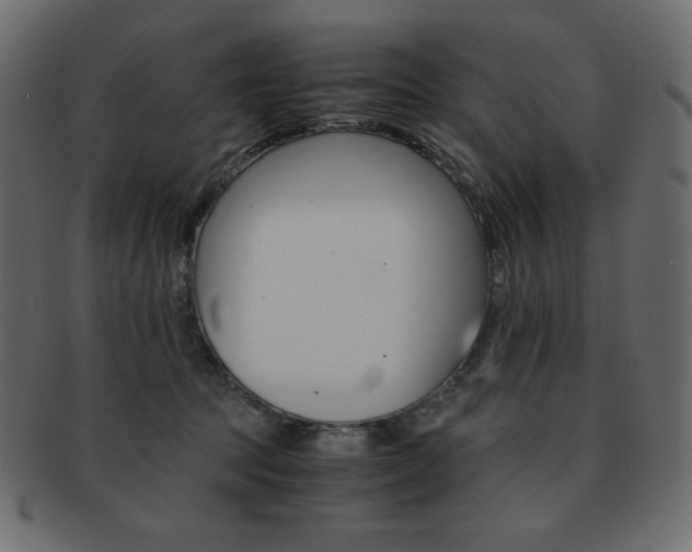 X0000093150369200709261021
