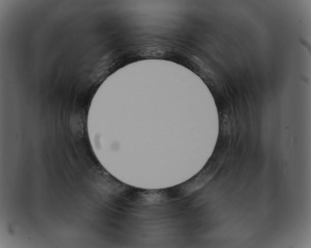 X0000093150370200709261021