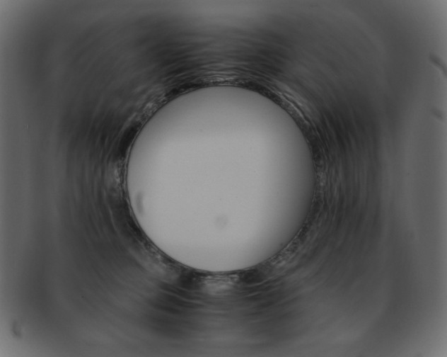 X0000093150373200709261021