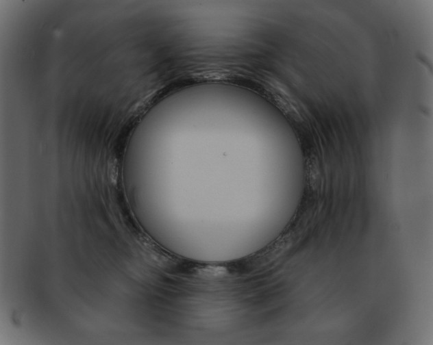 X0000093150374200709261021