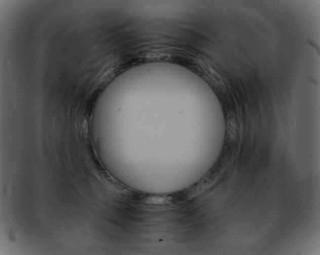 X0000093150375200709261021