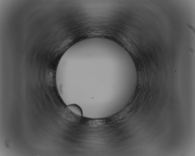 X0000093150378200709261021