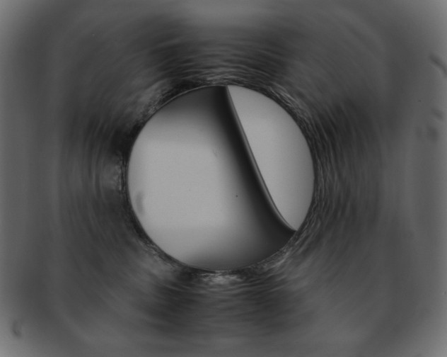 X0000093150379200709261021