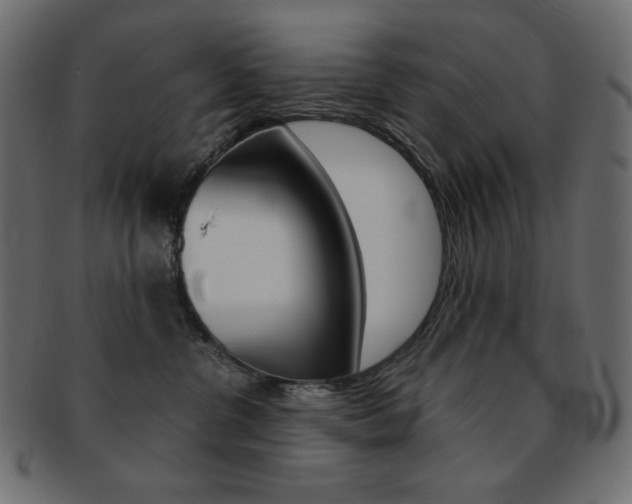 X0000093150380200709261021