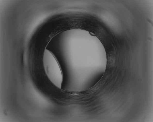 X0000093150383200709261021