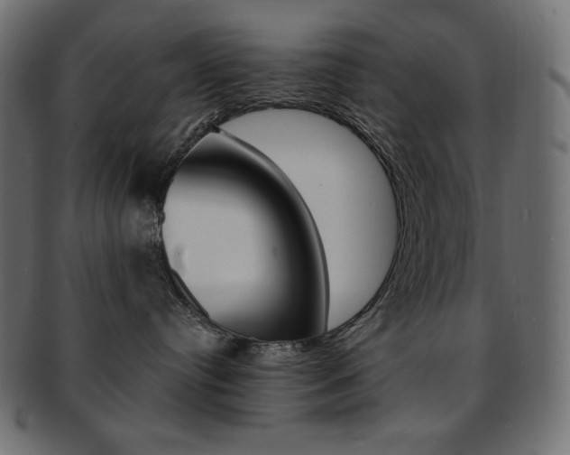 X0000093150384200709261021