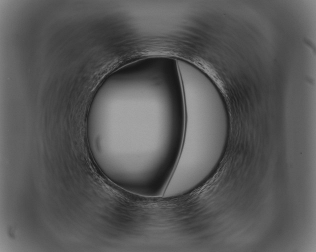 X0000093150385200709261020