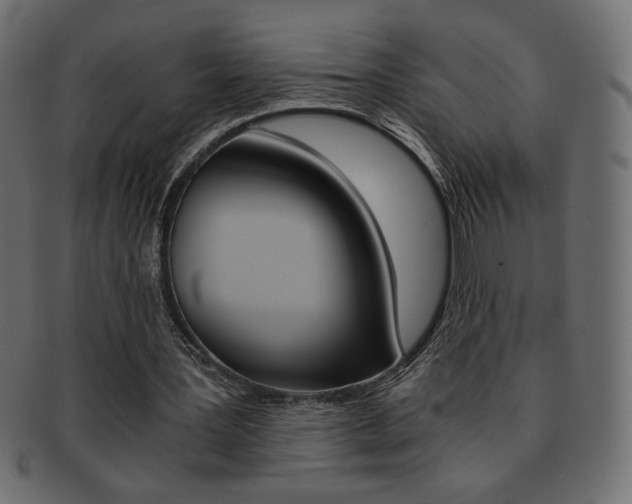 X0000093150387200709261020