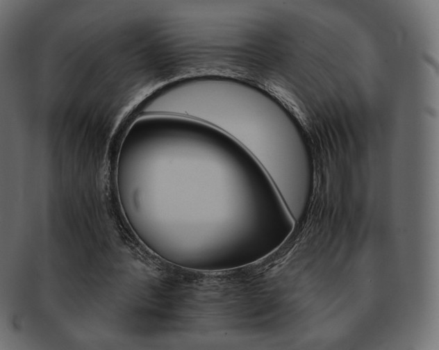 X0000093150388200709261020