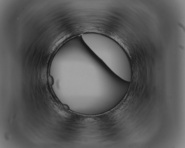 X0000093150390200709261020