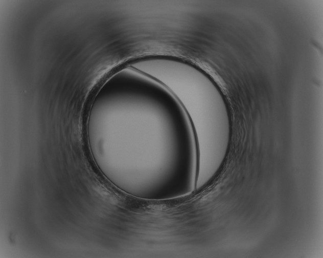 X0000093150391200709261020