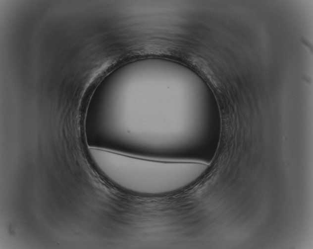 X0000093150395200709261020