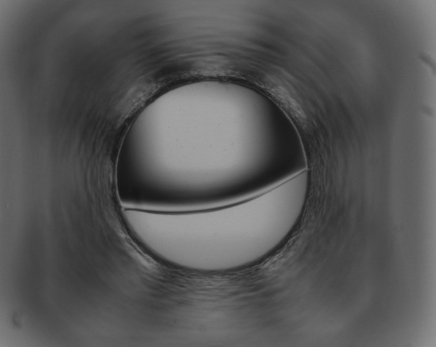 X0000093150397200709261020