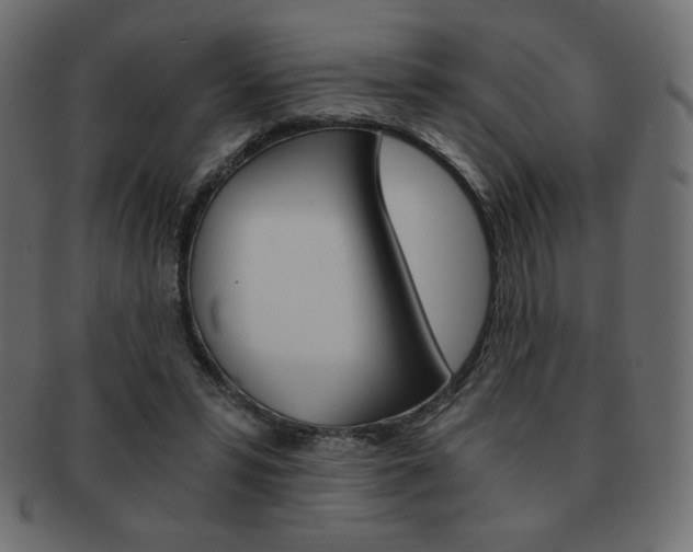 X0000093150399200709261020