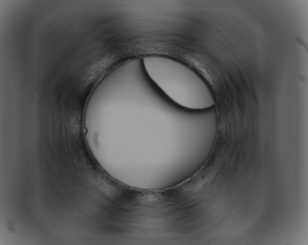 X0000093150402200709261020