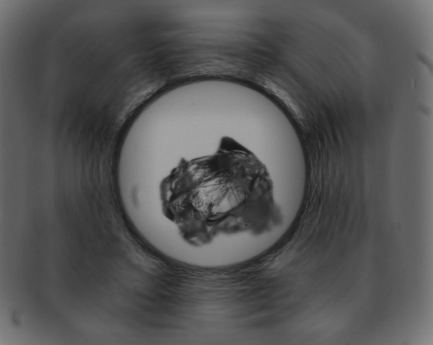 X0000093150403200709261020