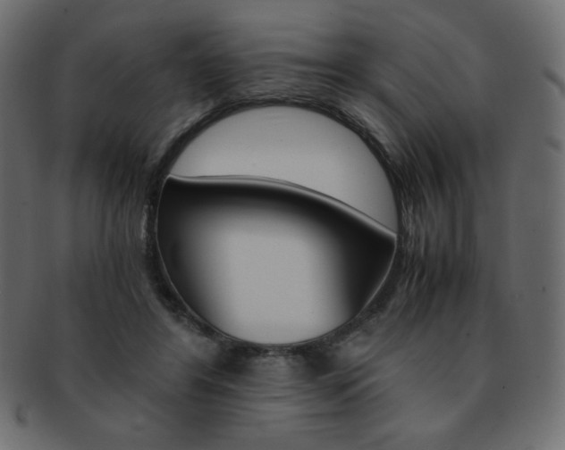 X0000093150404200709261020