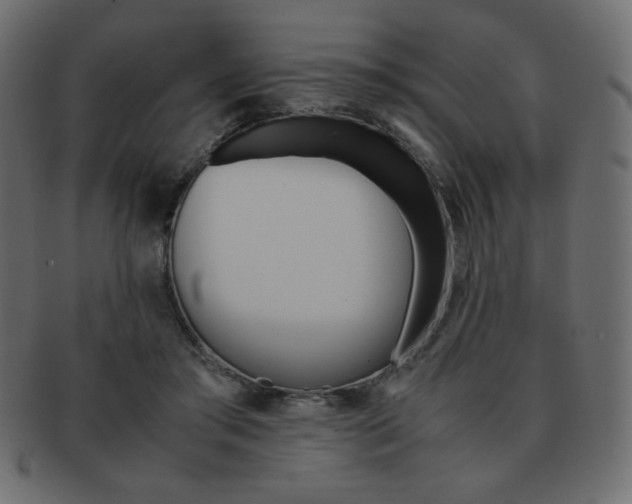 X0000093150405200709261020