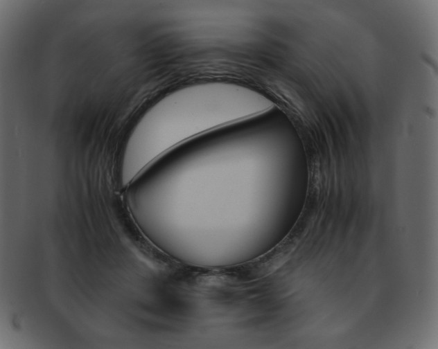 X0000093150408200709261020
