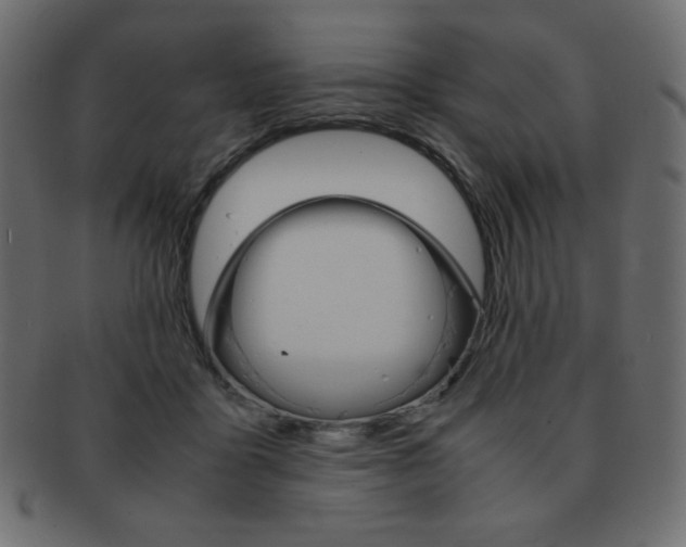 X0000093150411200709261020